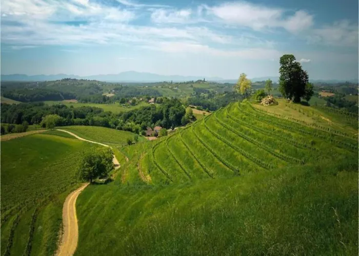 Lakeside Home, Prázdninový dům Dramalj
