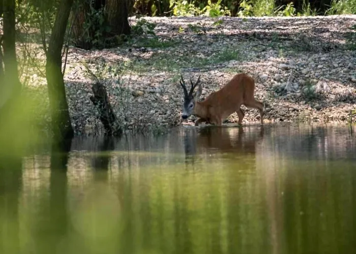 Lakeside Home, * Dramalj